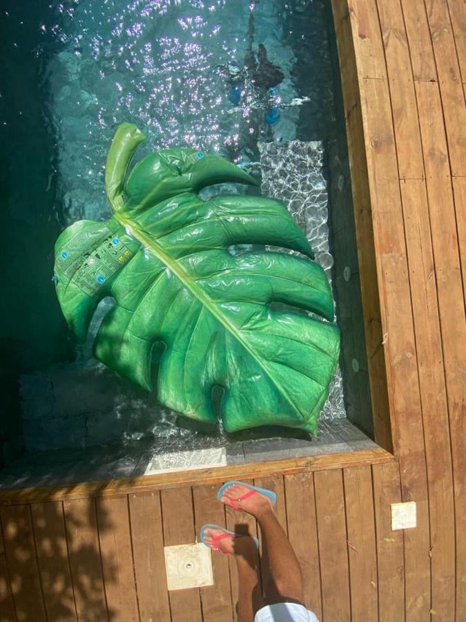 La Caze Amoremieve Pour Un Sejour Cozy A St Pierre Saint-Pierre Kültér fotó